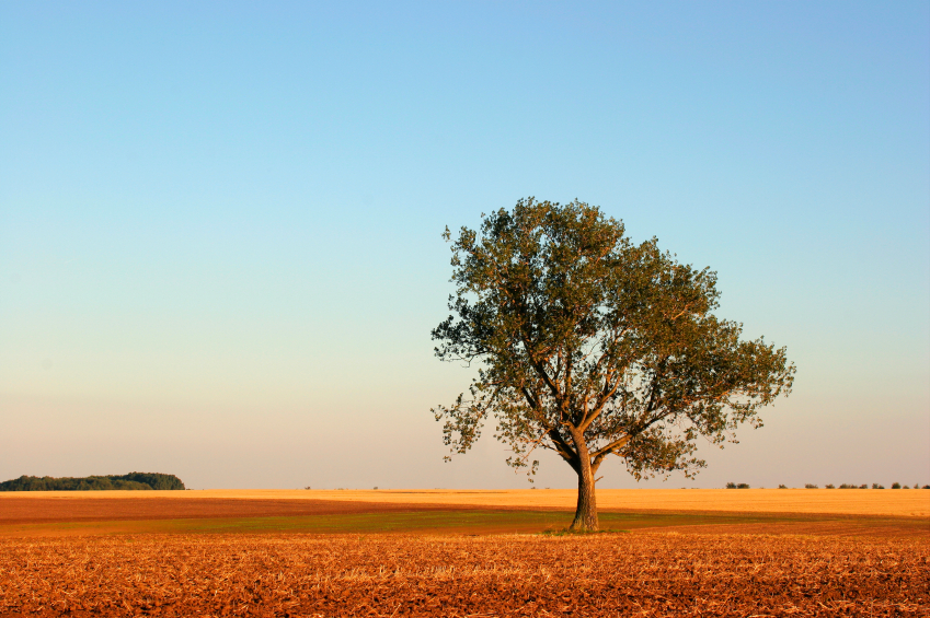 iStock_000000910908Small